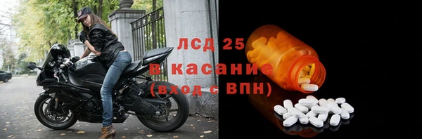 крисы Алзамай