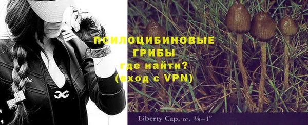 прущие крисы Алексин