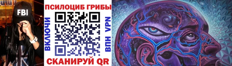 Галлюциногенные грибы прущие грибы  площадка наркотические препараты  Кулебаки  кракен зеркало 